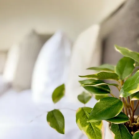 Mi Casa Su Casa - 2br Sleeps 6 - Free Parking - Cbd Apartment *