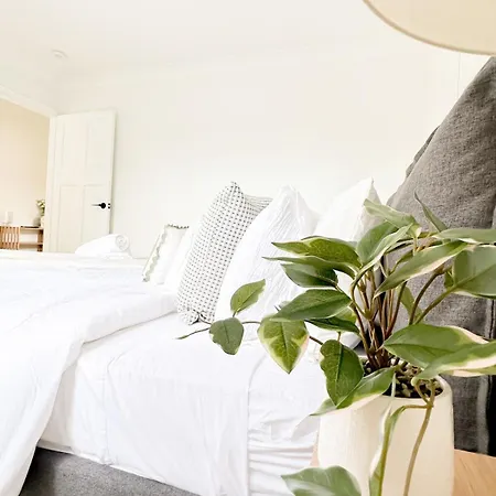 Mi Casa Su Casa - 2br Sleeps 6 - Free Parking - Cbd Apartment *