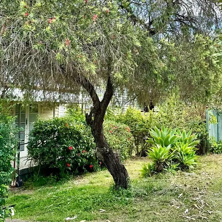 Budget-friendly Chermside Near Westfield Holiday home *