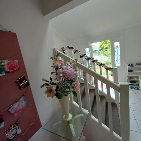 Air Conditioned Floral Youth Backpacker And House Brisbane