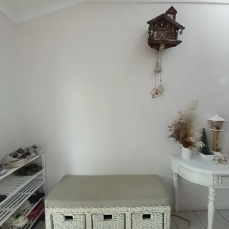 Guest house Air Conditioned Floral Youth Backpacker And House