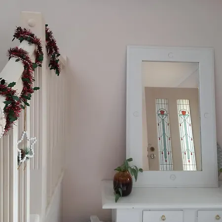 Air Conditioned Floral Youth Backpacker And House Guest house