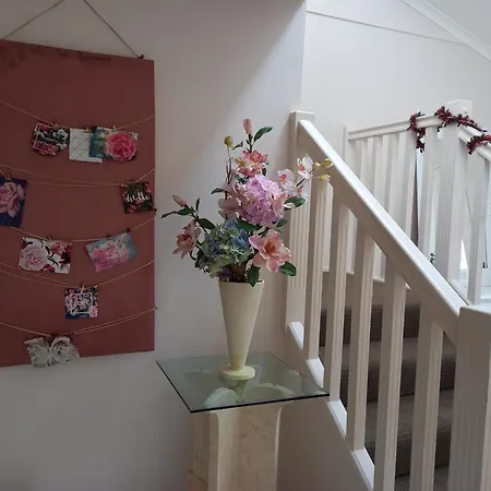 Guest house Air Conditioned Floral Youth Backpacker And House *
