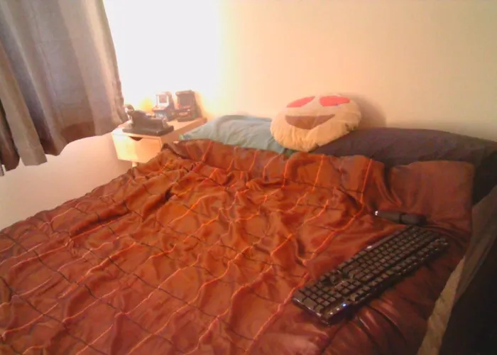 Grizzly Damo\'S Nft Gallery Apartment