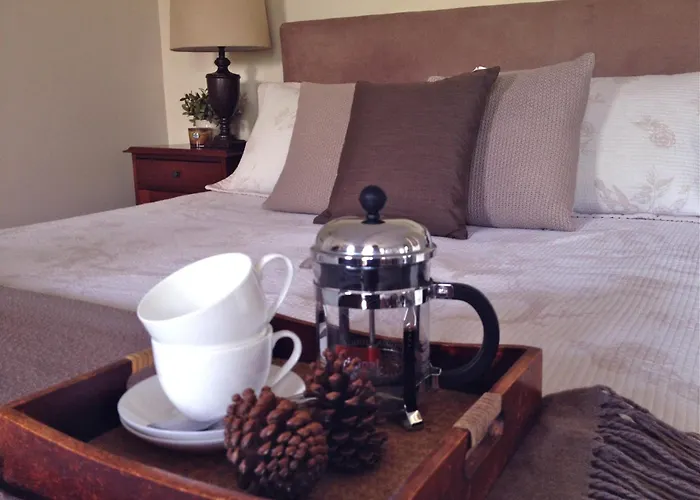 Jacaranda House Garden Suite
