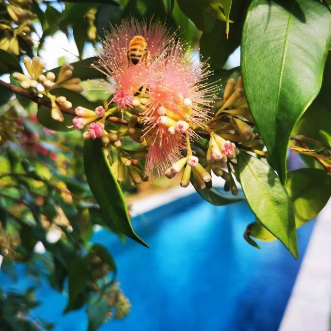 Holiday home Oxley Mineral Pool & Private Suburbanstay *