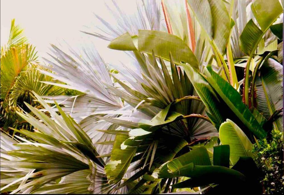 Charming 5br Family W/pool 10min From Airport Holiday home