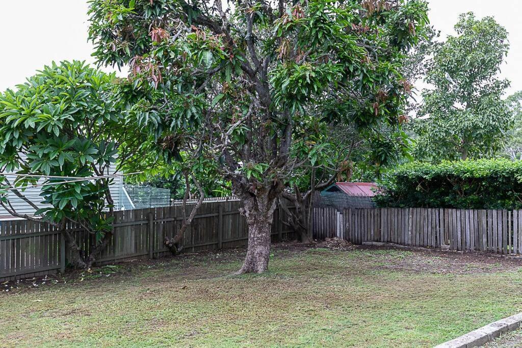 Pet Friendly Family 3km To Cbd