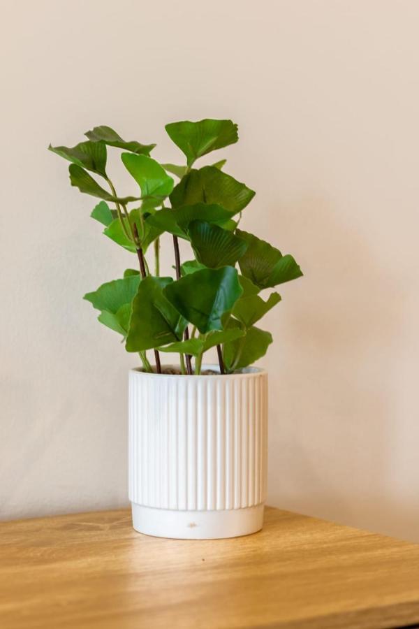 Apartment Brand New Riverside Designer 2bd At West End