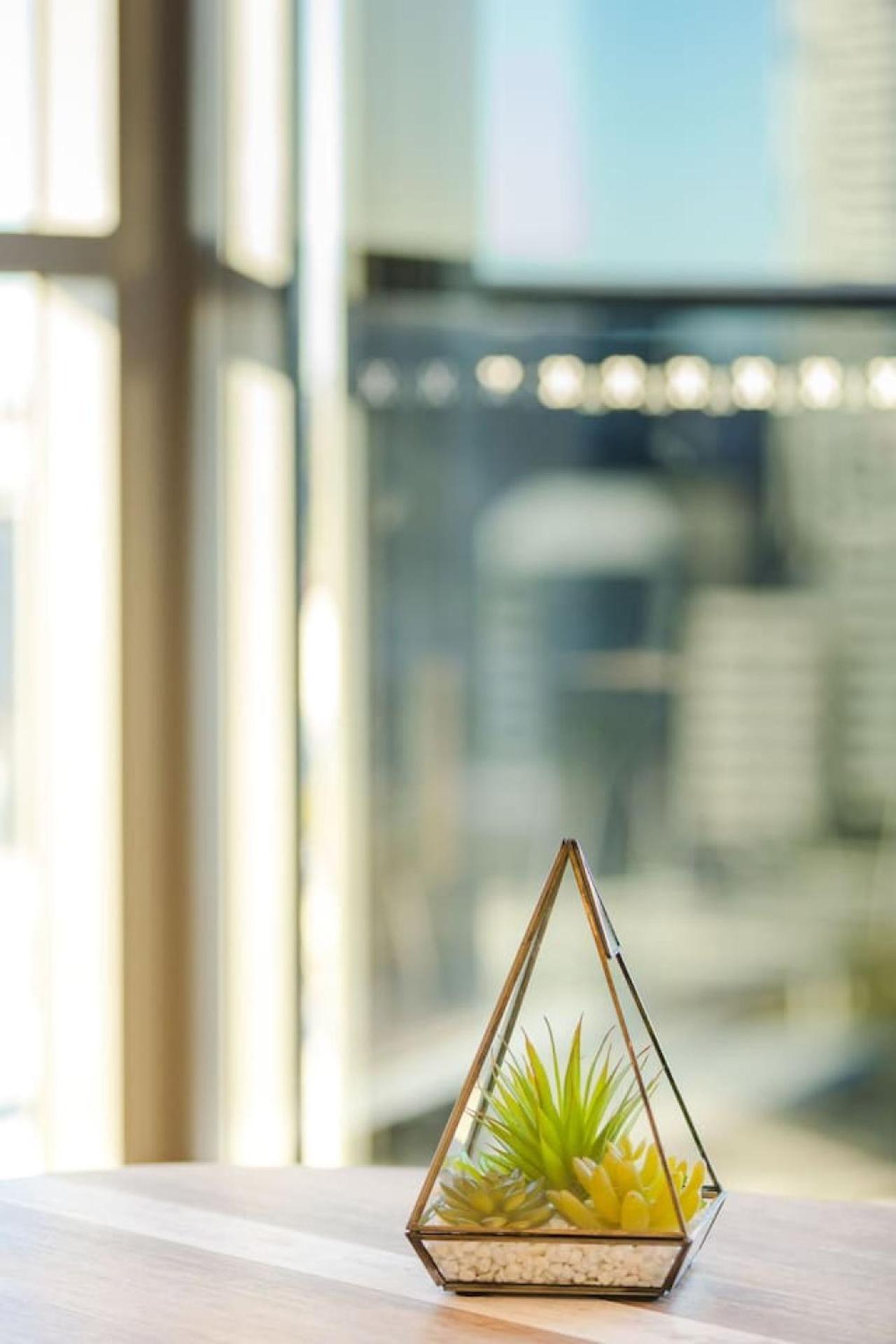 Location 1br W View South Bne Brisbane