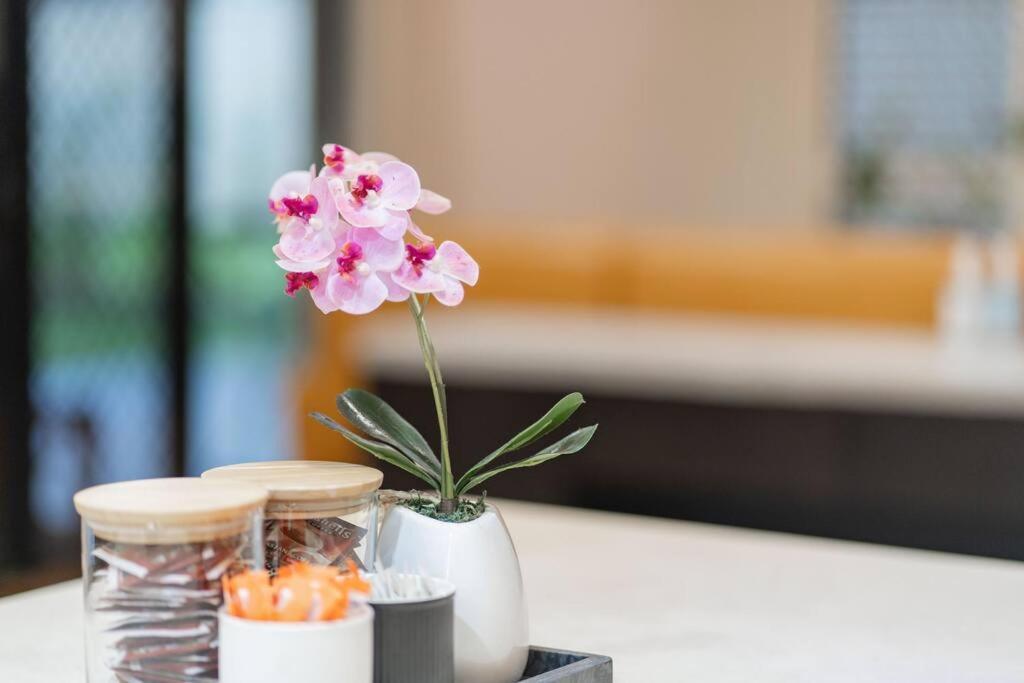 Apartment Spacious 5br 3ba W Parking And Yard In Sunnybank M11