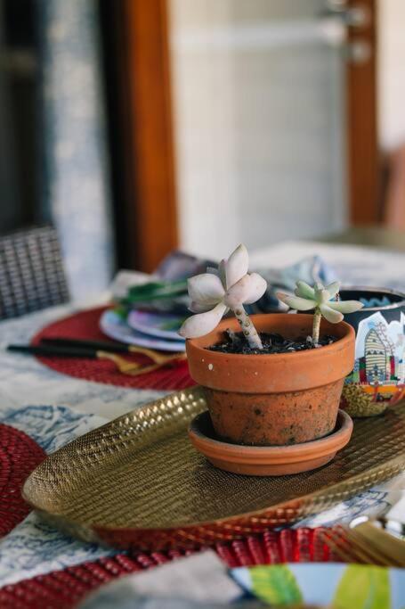 Artistic Queenslander With Park Views - 5 Bedroom - Sleep 10 Holiday home Brisbane