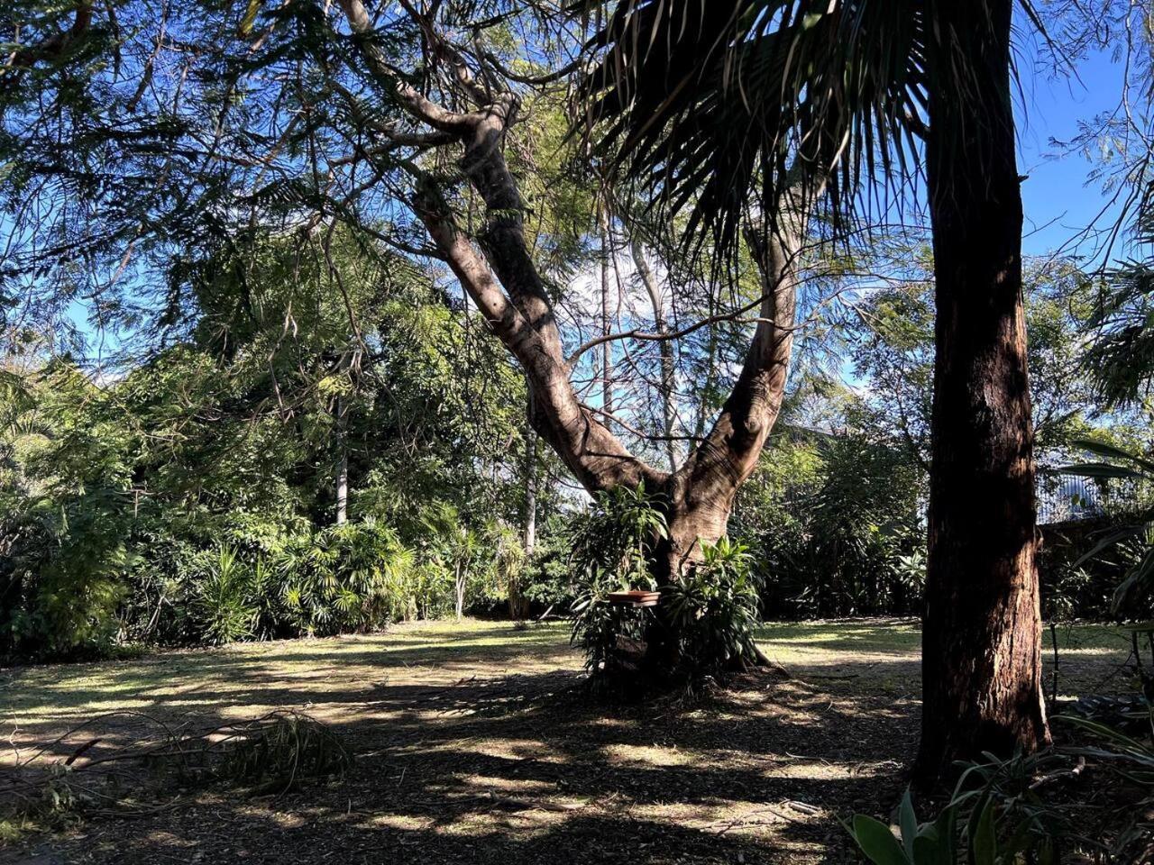 Charming In Sunnybank Close To Plaza With Pool Holiday home