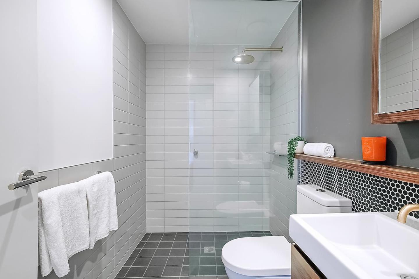 Apartment Above King With Rooftop Pool Deck