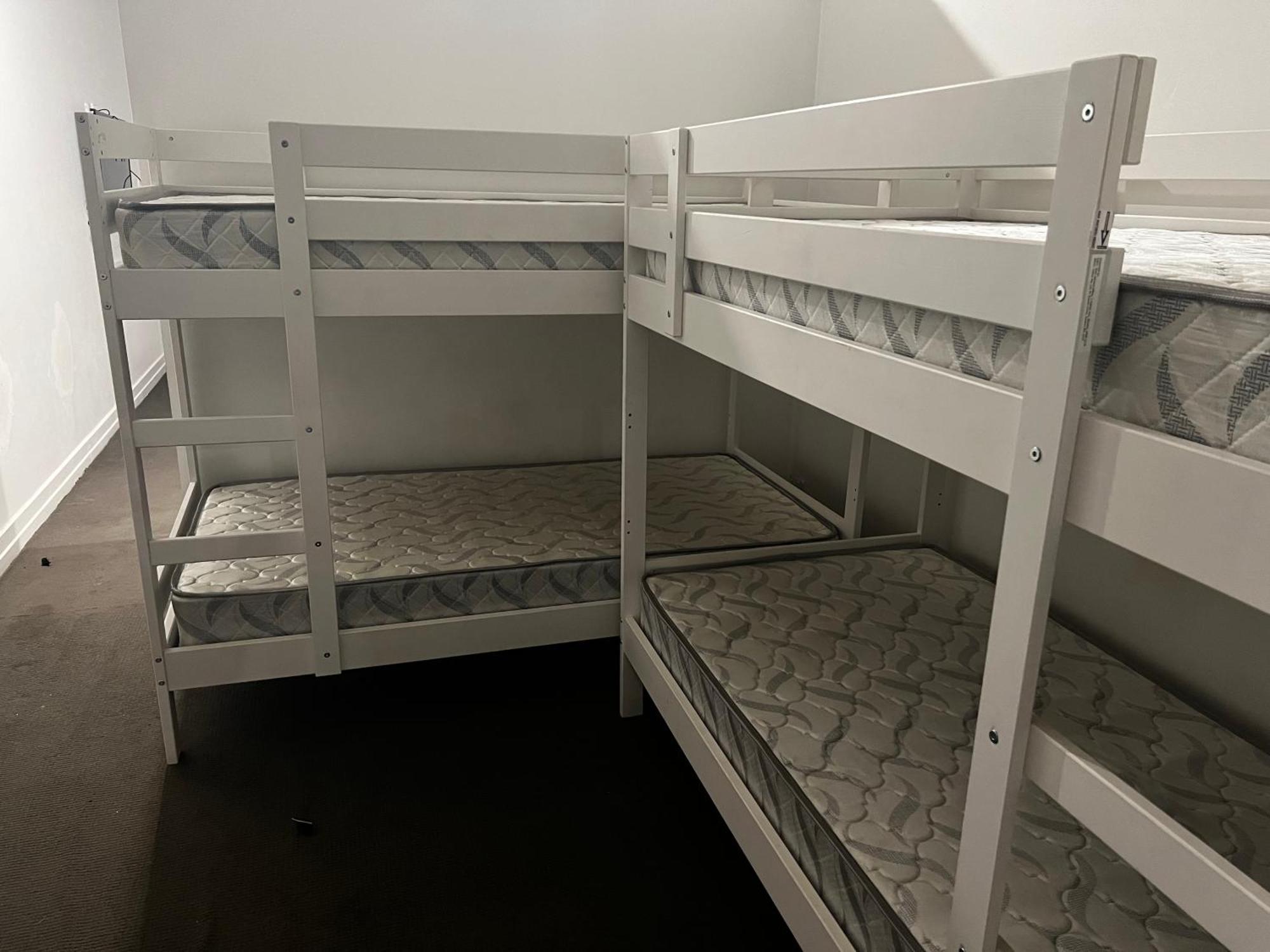 Hostel Palm Hamilton Backpacker Brisbane