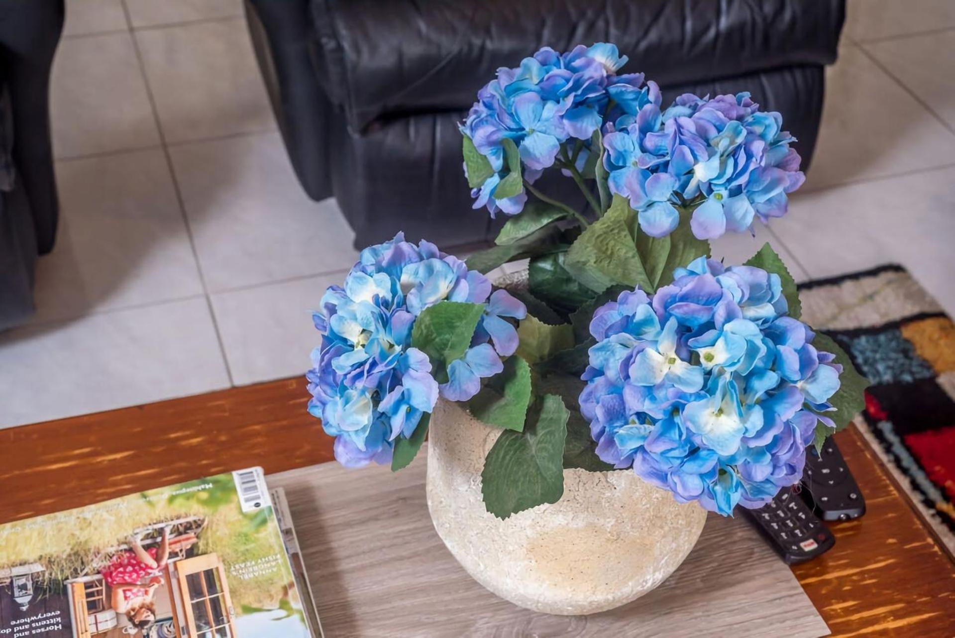 Coastal Calm At Plumeria Place