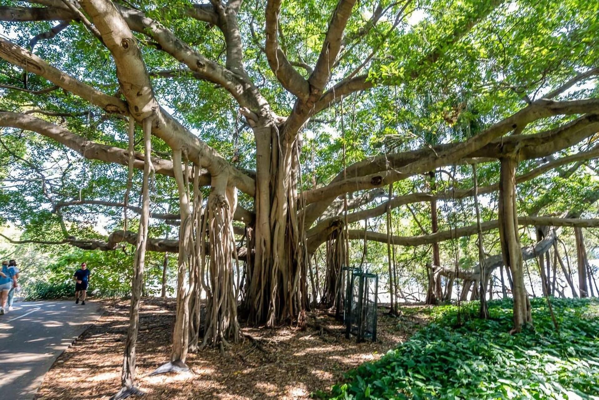 Skyline Viewpoint Escape Parking - Pool - Gym *