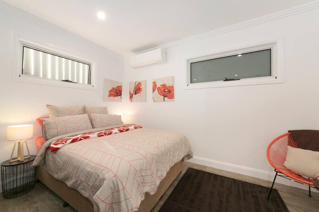 Milton Mews Red Auchenflower Pets * Brisbane