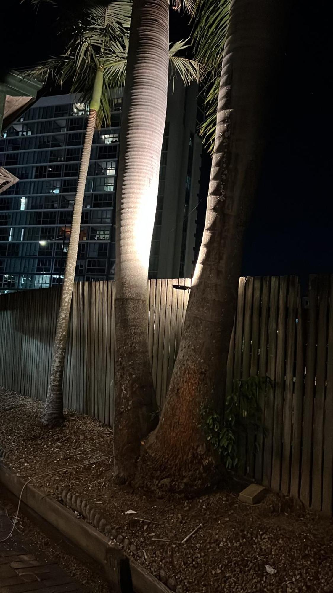 Palm Hamilton Backpacker Hostel Brisbane