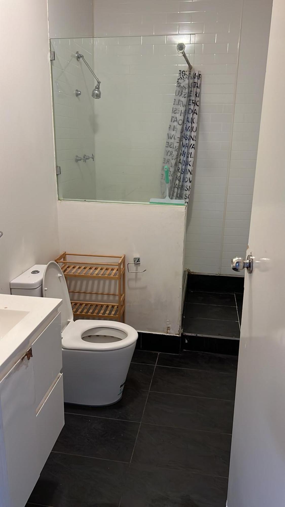 Palm Hamilton Backpacker