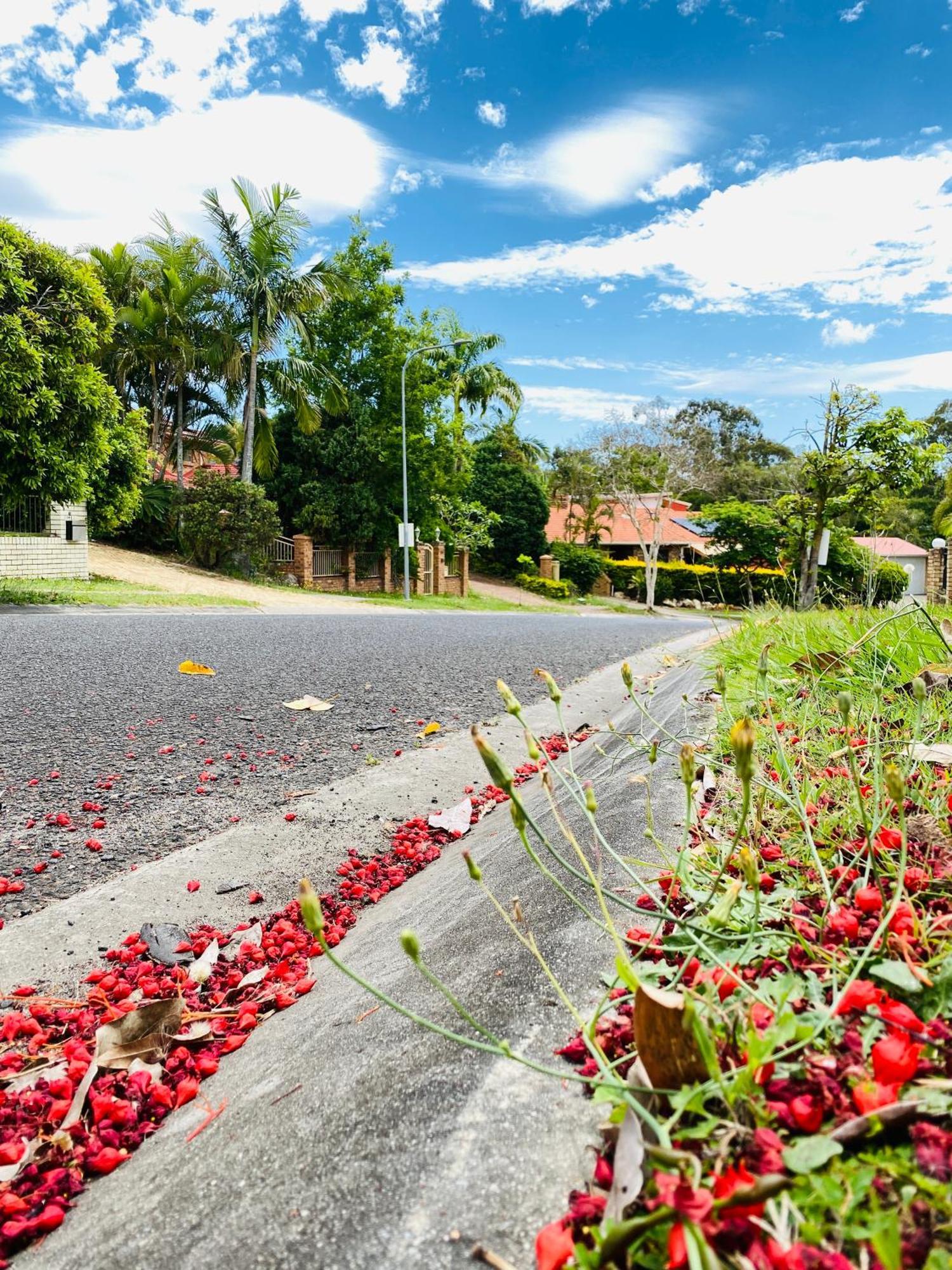 Garden Retreat House Sunnybank Hills * Brisbane
