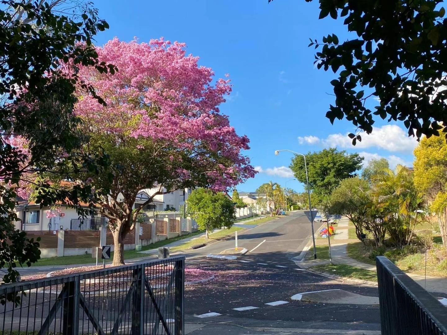 Garden Retreat House Sunnybank Hills Homestay *