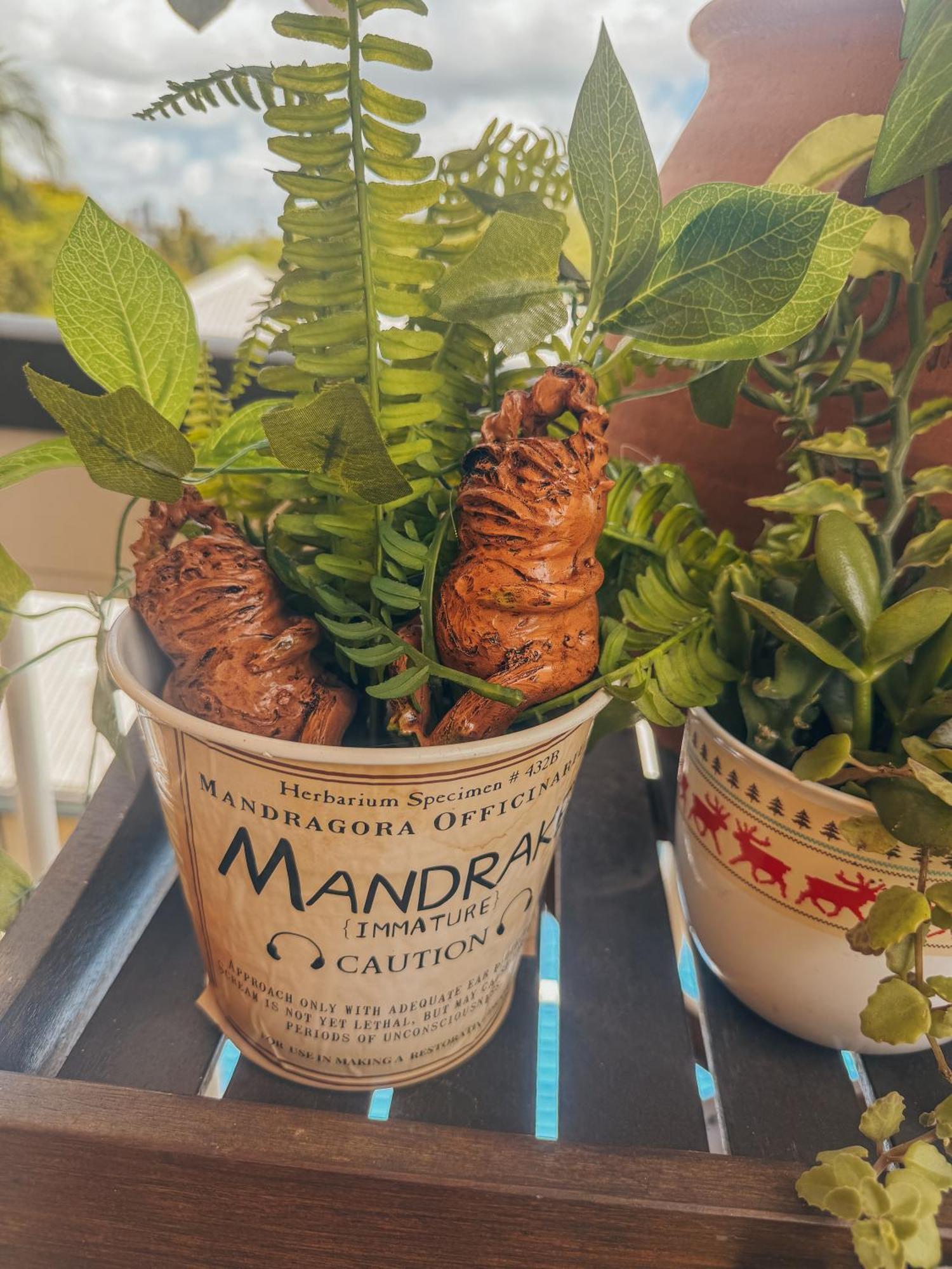 Romantic Harry Potter Themed Brisbane