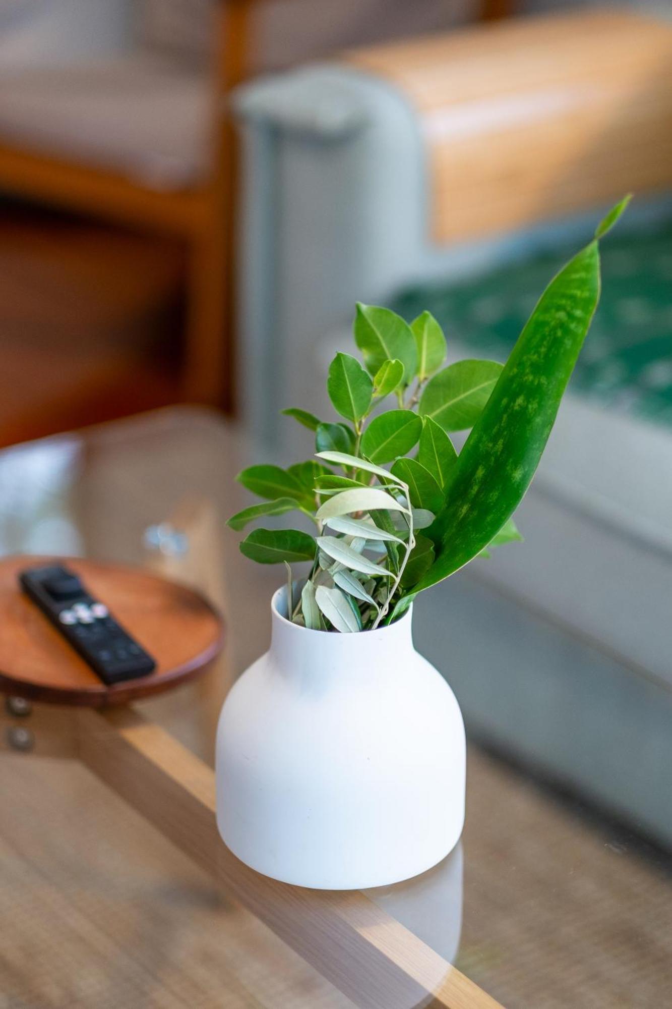Bougainvillea Holiday home