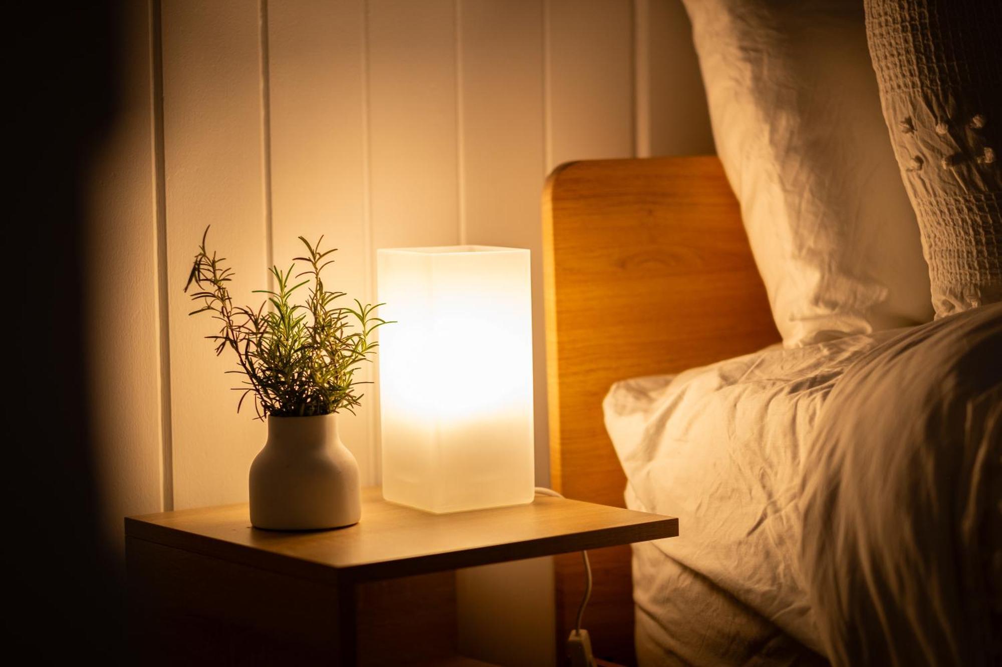 Bougainvillea Brisbane