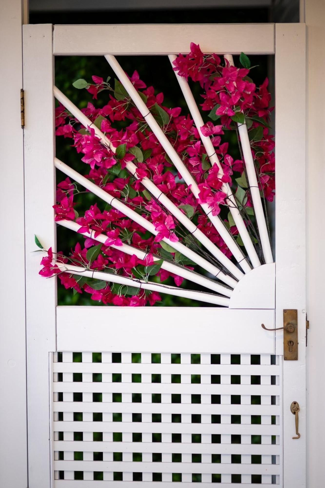 Bougainvillea Brisbane