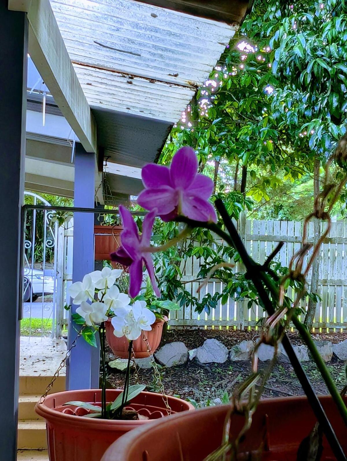 Leafy 3-bedroom Escape To Nature-air Conditioned With Smart Entry * Brisbane