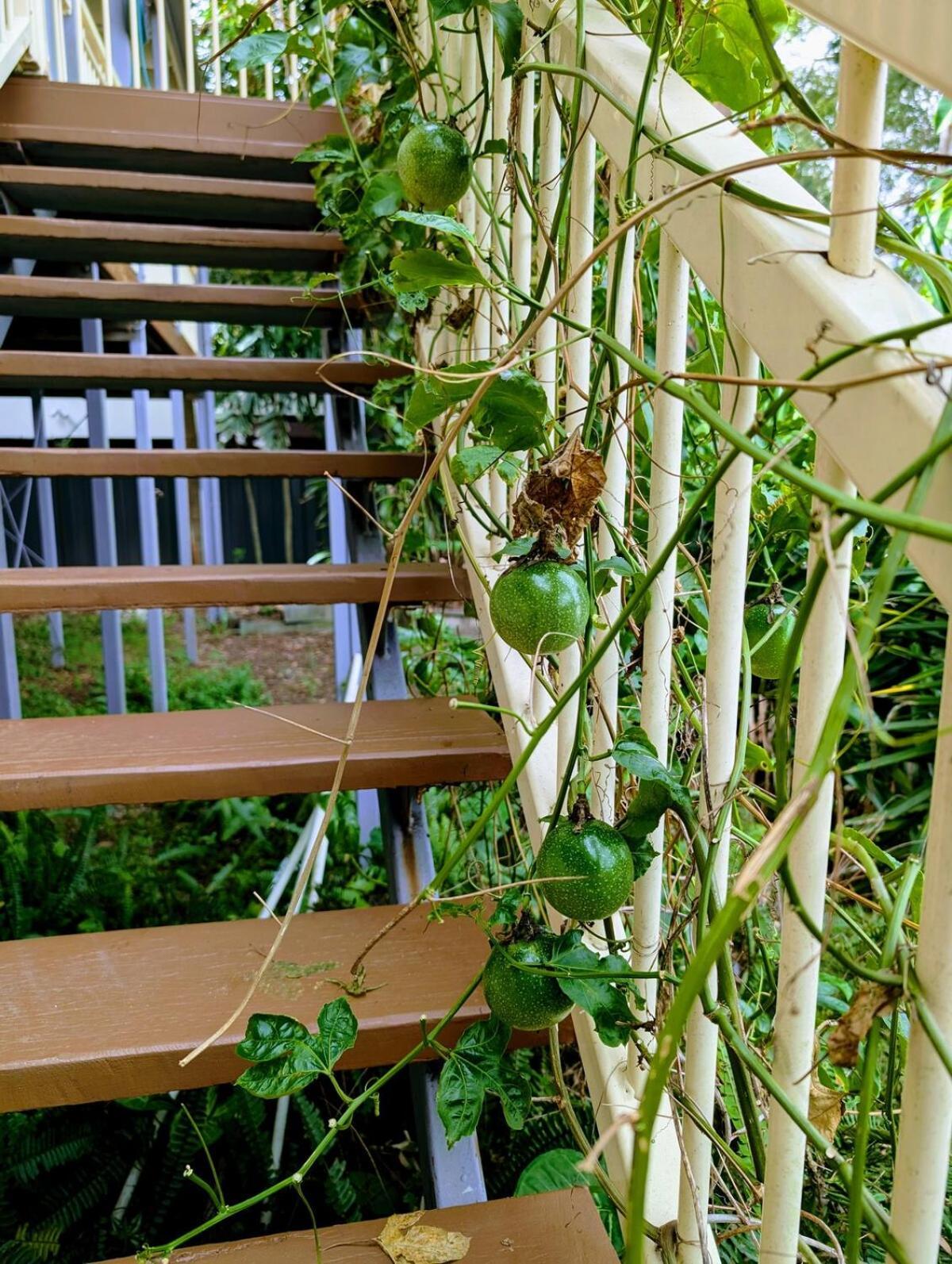 Leafy 3-bedroom Escape To Nature-air Conditioned With Smart Entry Holiday home