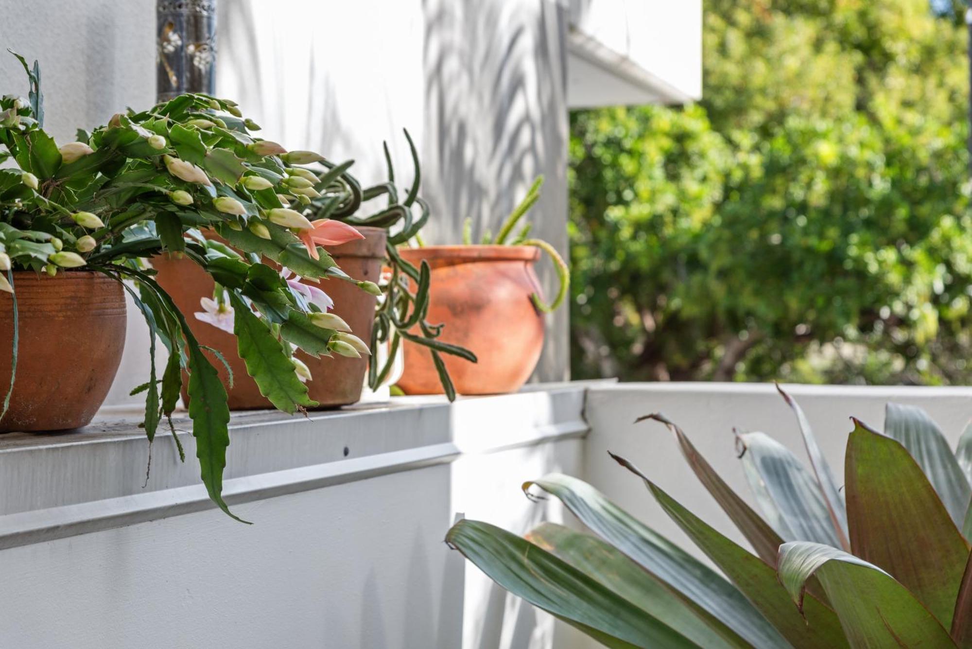 Apartment Spacious And With Huge Courtyard And Parking *