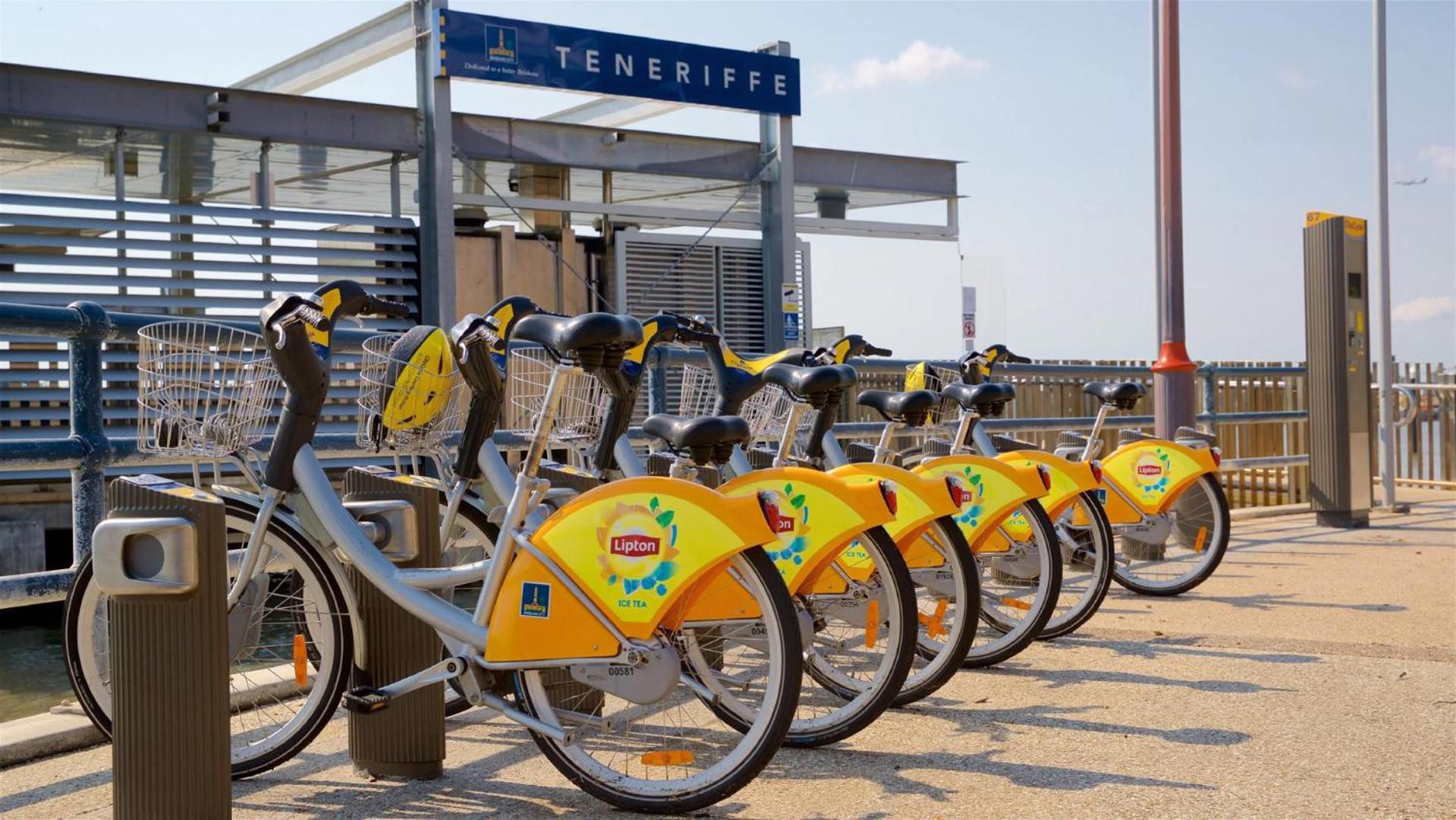 Spacious 1 Bedroom In Teneriffe Brisbane