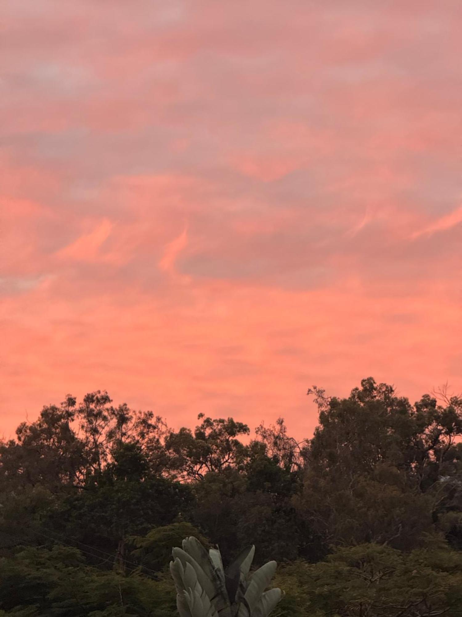 140sqm Modern Teneriffe 2 Bedroom & Balcony Apartment