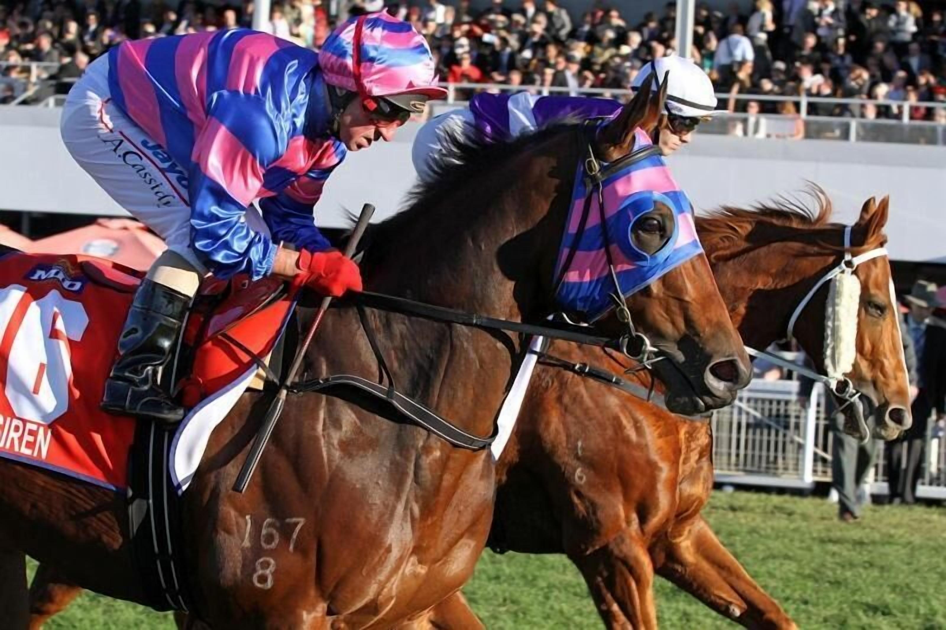 Quest Ascot Aparthotel 4*