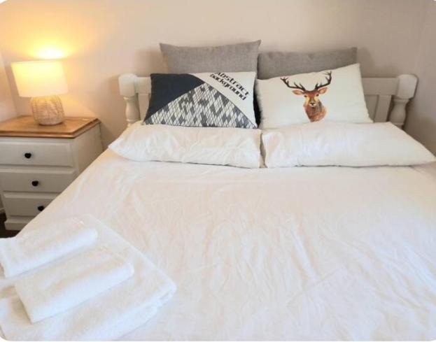 Air Conditioned Floral Youth Backpacker And House Guest house *