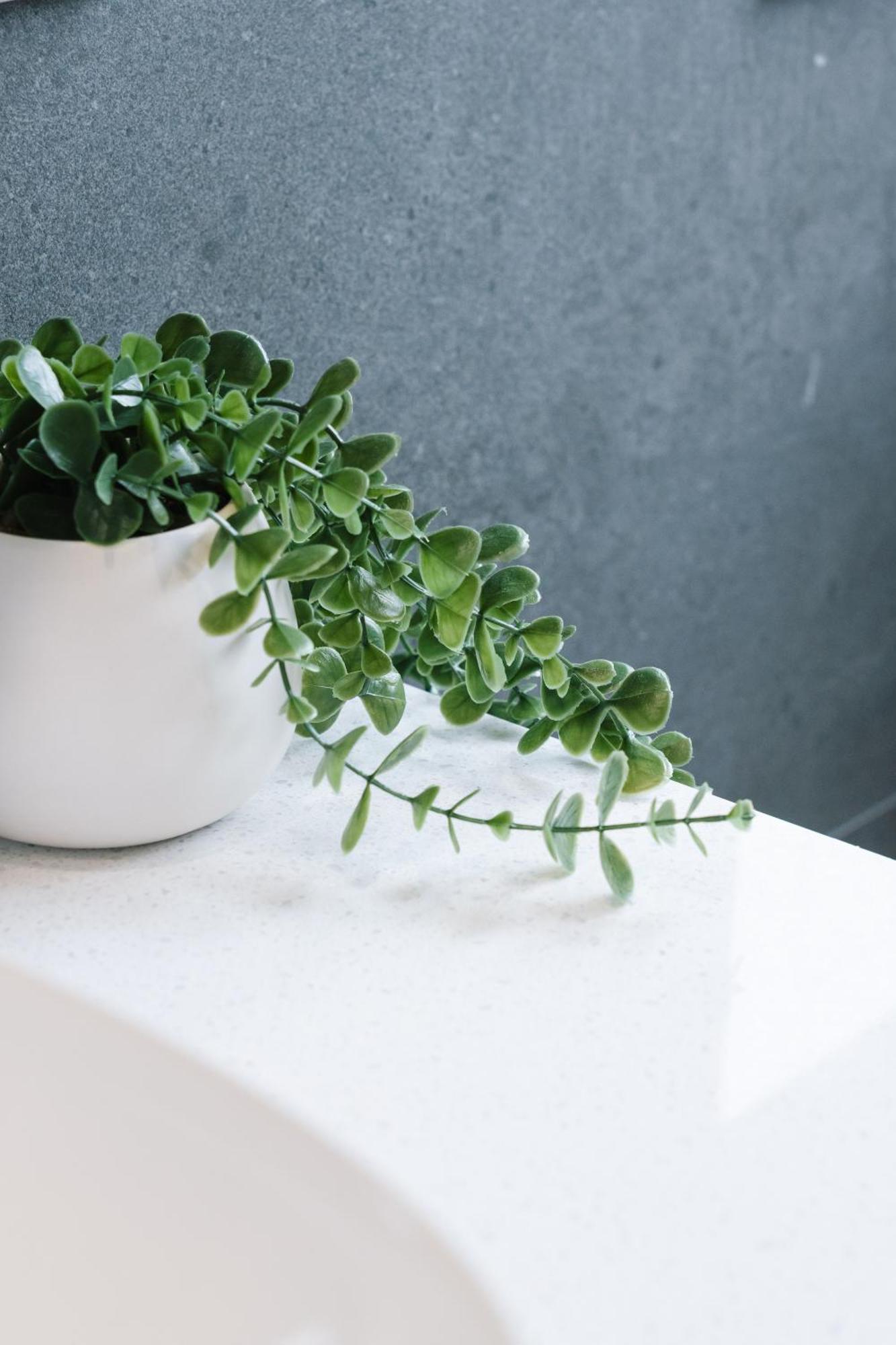 Cassa Aura Place - Modern 4br Homes