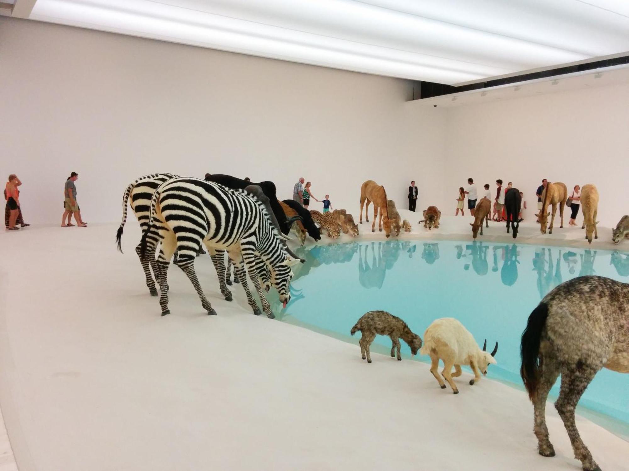 Apartment Sky - Cbd 2br With Stunning Views, Pool And Gym