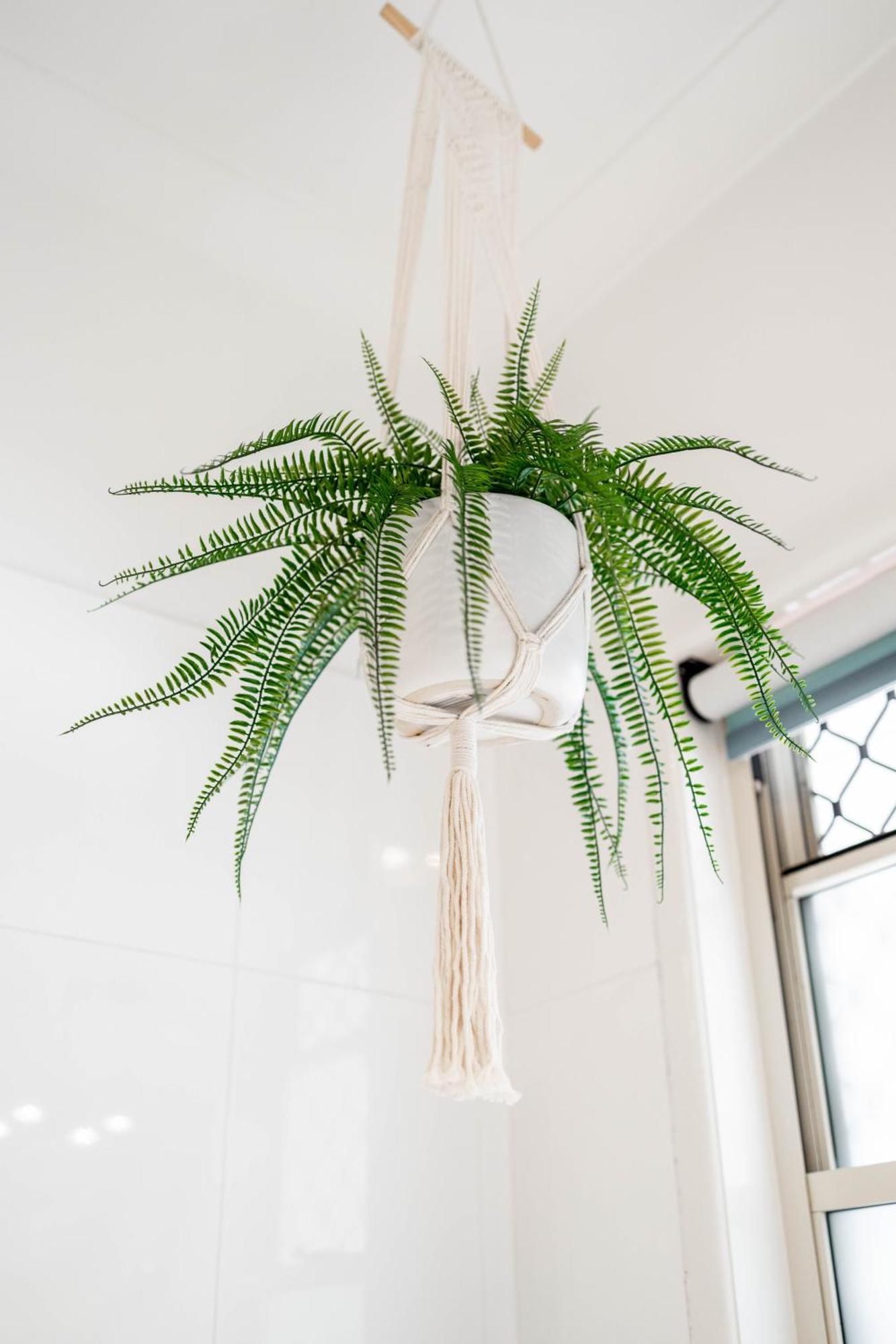 Bird And Leaf Brisbane