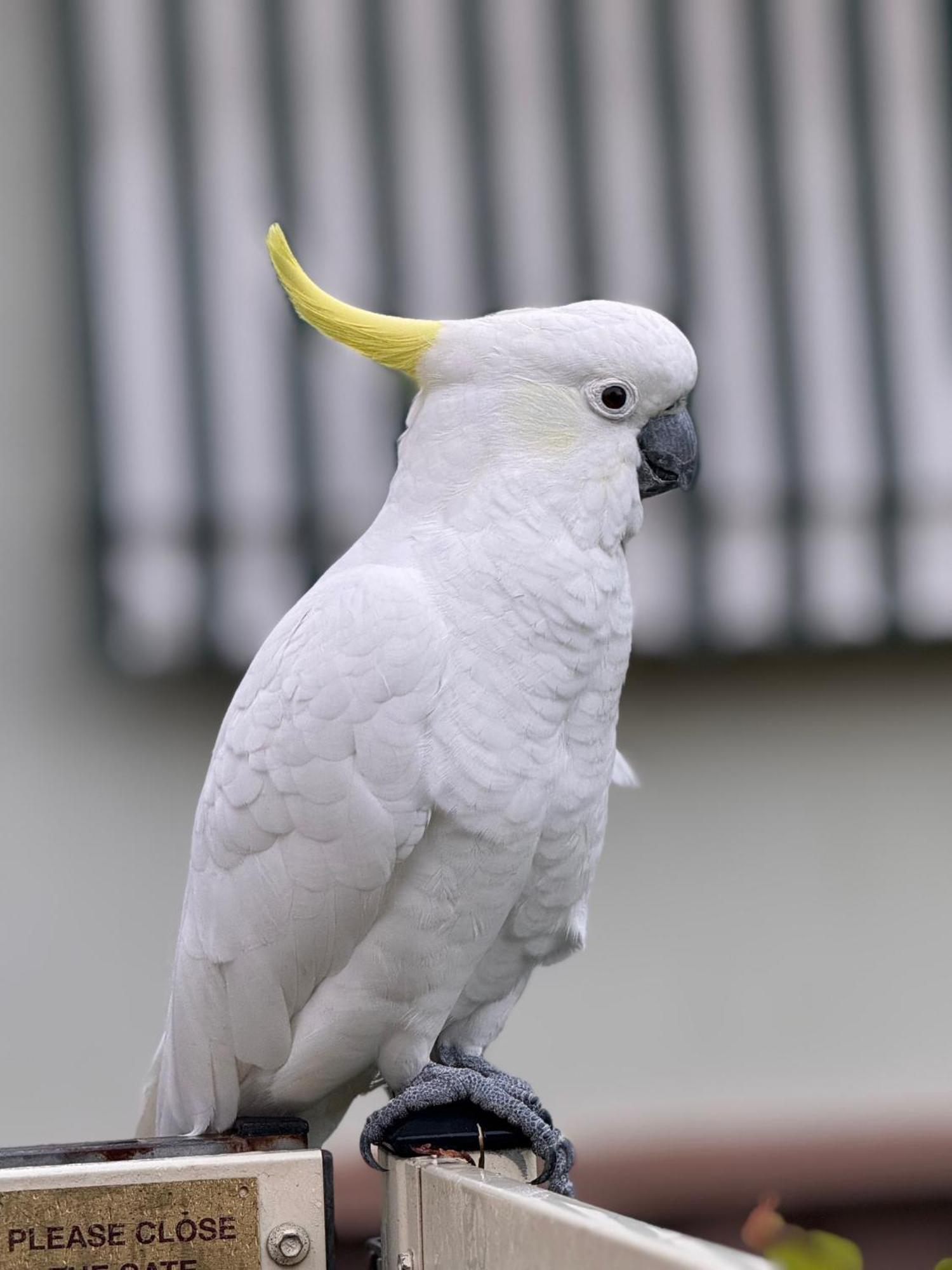 Holiday home Bird And Leaf *