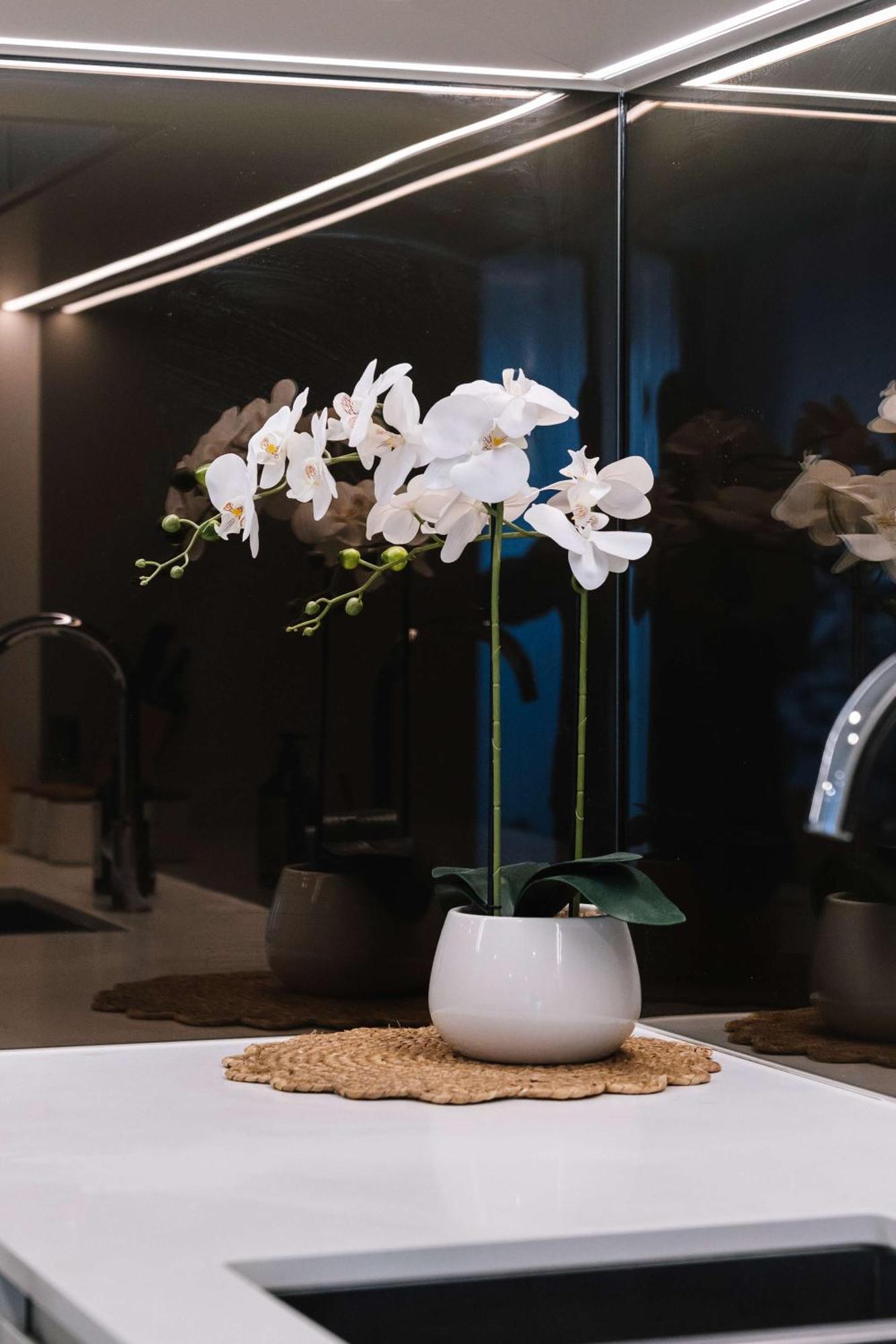 2br River And Fireworks View Apartment