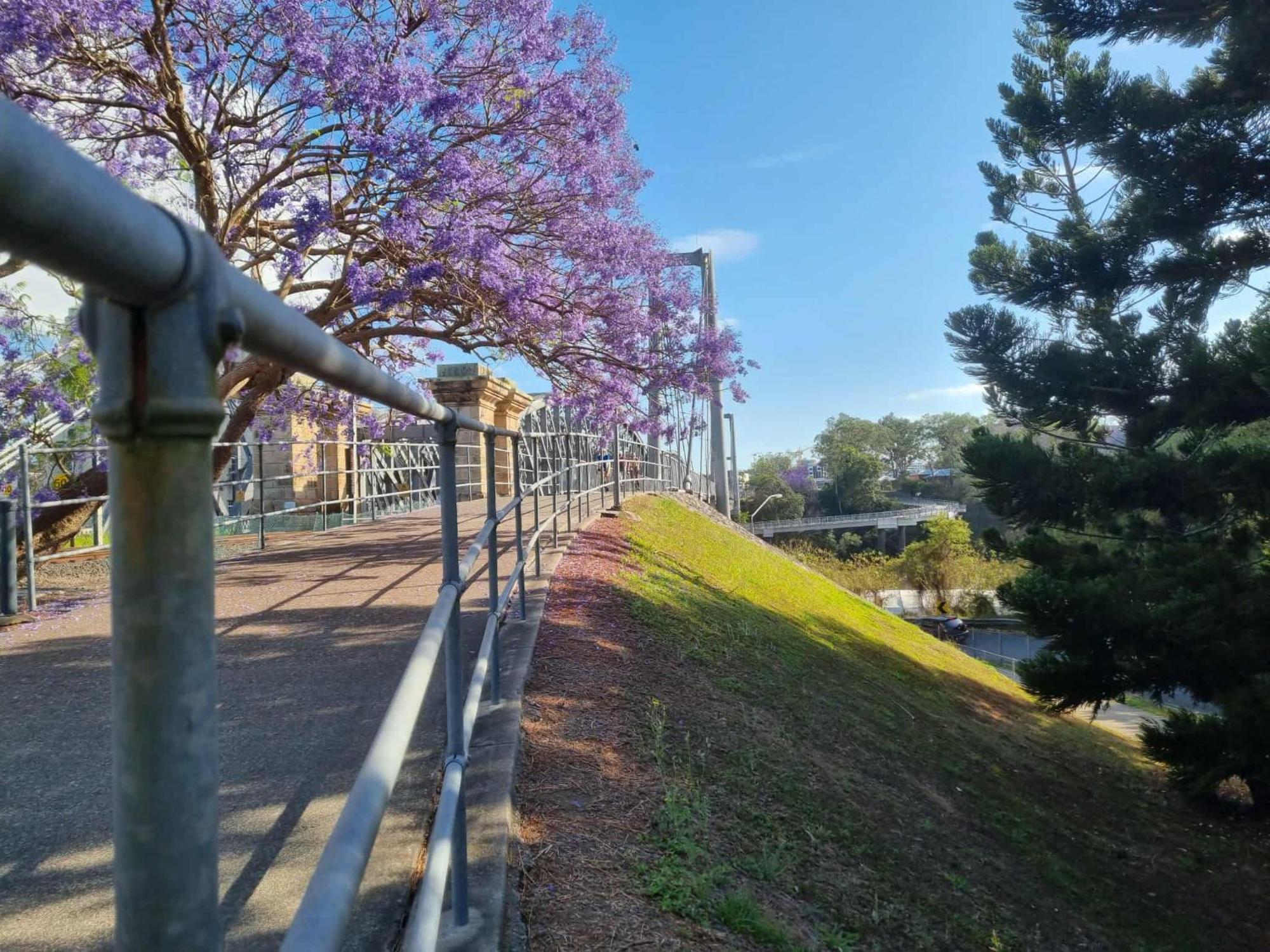 Welcome To Your Leafy Retreat In Graceville!