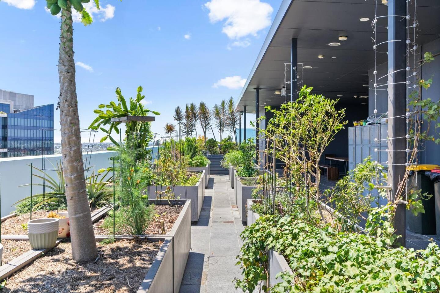 Apartment Mosaic Vista - Skyline Views Above Fashion Precinct Brisbane