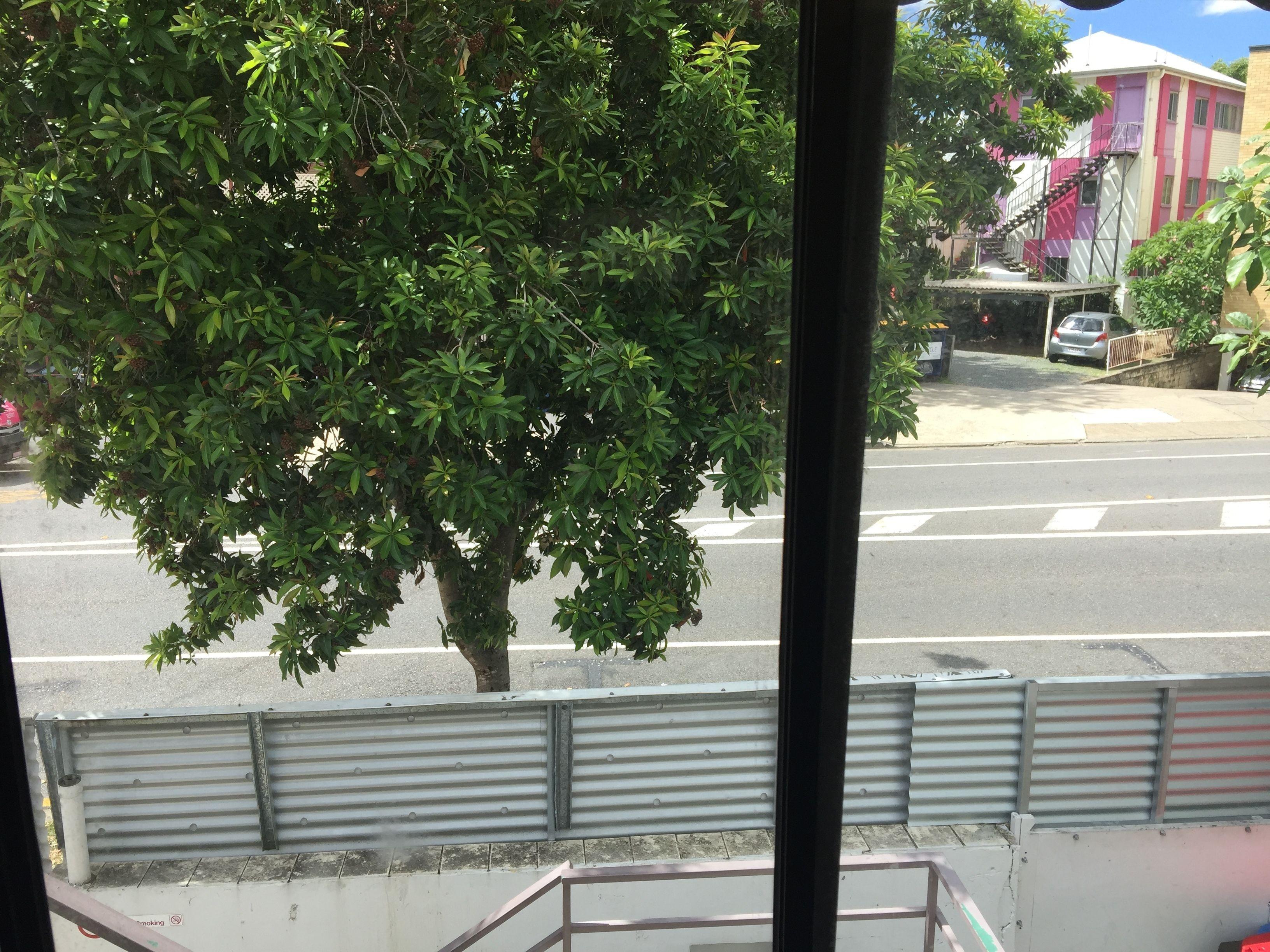 Hostel Gonow Family Backpackers *