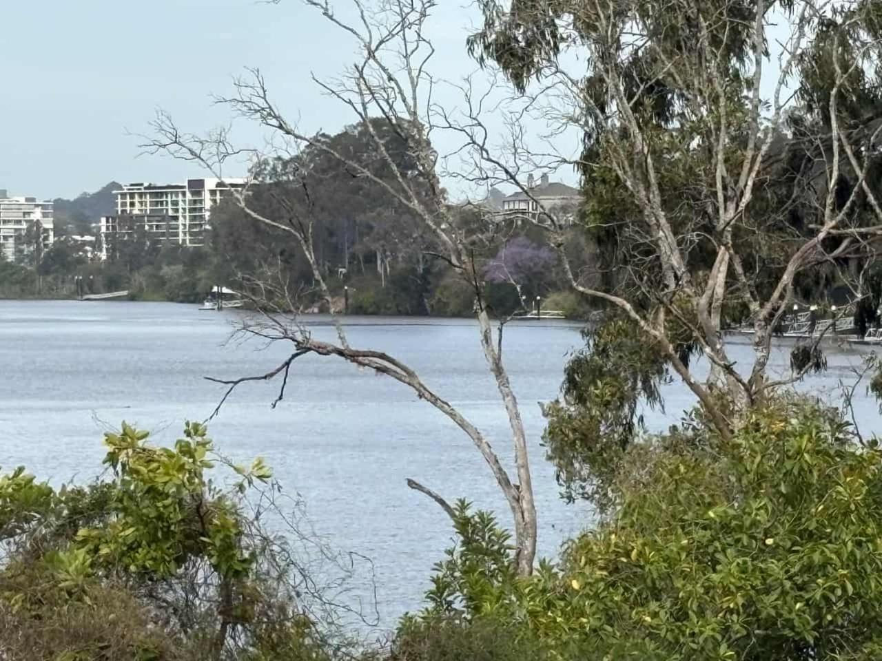 Welcome To Your Leafy Retreat In Graceville! * Brisbane