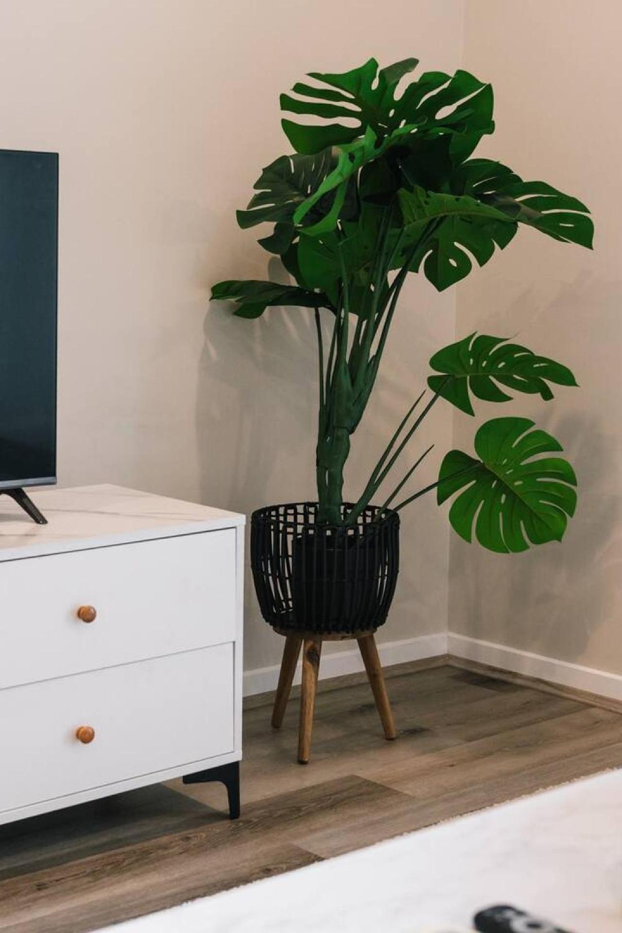 Workspace Walk To Train And Shops Free Carpark Brisbane