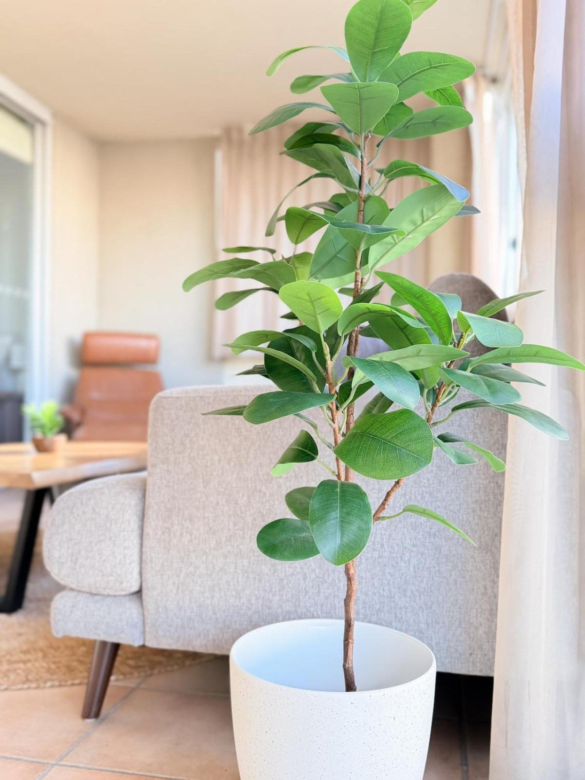 Oasis - Free Parking Gym Pool - Sleep 6 Apartment