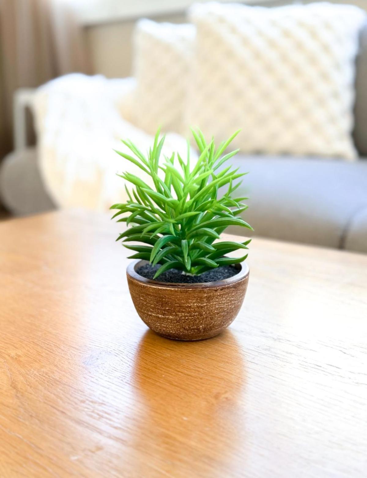 Oasis - Free Parking Gym Pool - Sleep 6 Brisbane