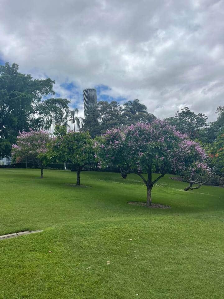 Apartment Inner Gem Next To St Andrews Hospital & Park Brisbane